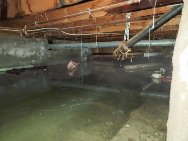 Best Ceiling water damage repair  in Port Morris, NJ