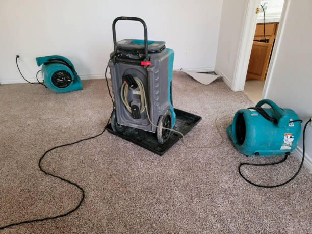 Best Professional water damage repair  in Port Morris, NJ