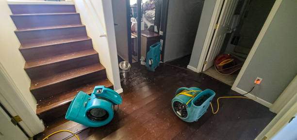 Best Fire Damage Restoration  in Port Morris, NJ