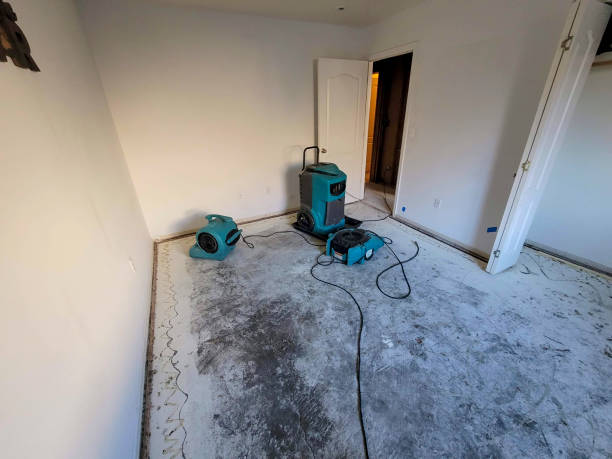 Best 24-hour water damage restoration  in Port Morris, NJ