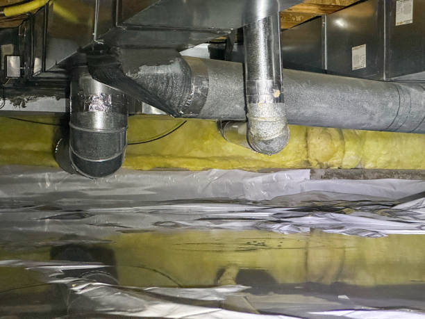 Best Water damage contractors near me  in Port Morris, NJ