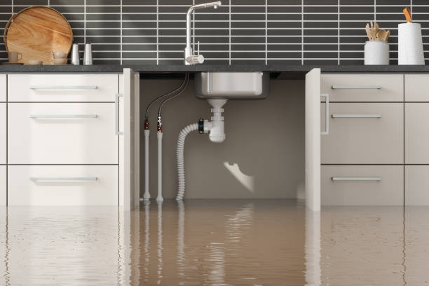 Best Water damage restoration near me  in Port Morris, NJ