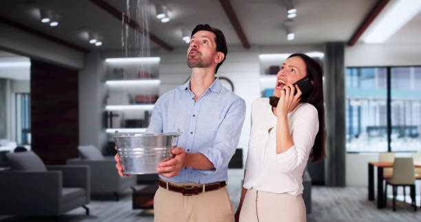 Best Water damage restoration near me  in Port Morris, NJ